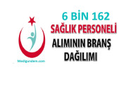 Sağlık personeli alımının branş bazında dağılımı