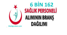Sağlık personeli alımının branş bazında dağılımı