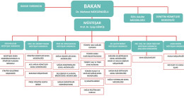Sağlık Bakanlığı Teşkilat Şeması  değişti