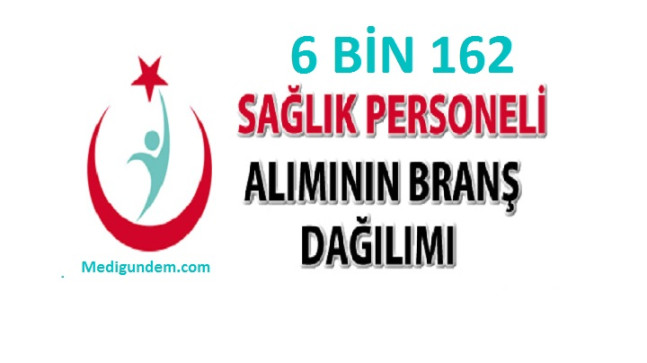 Sağlık personeli alımının branş bazında dağılımı
